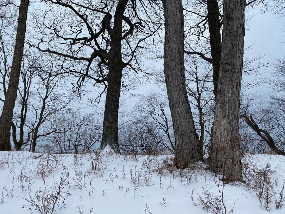 The Sanctuary At Deer Dune , Saugatuck Eksteriør bilde