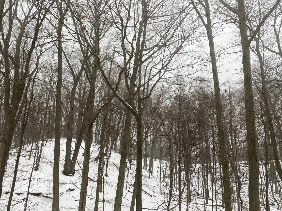 The Sanctuary At Deer Dune , Saugatuck Eksteriør bilde