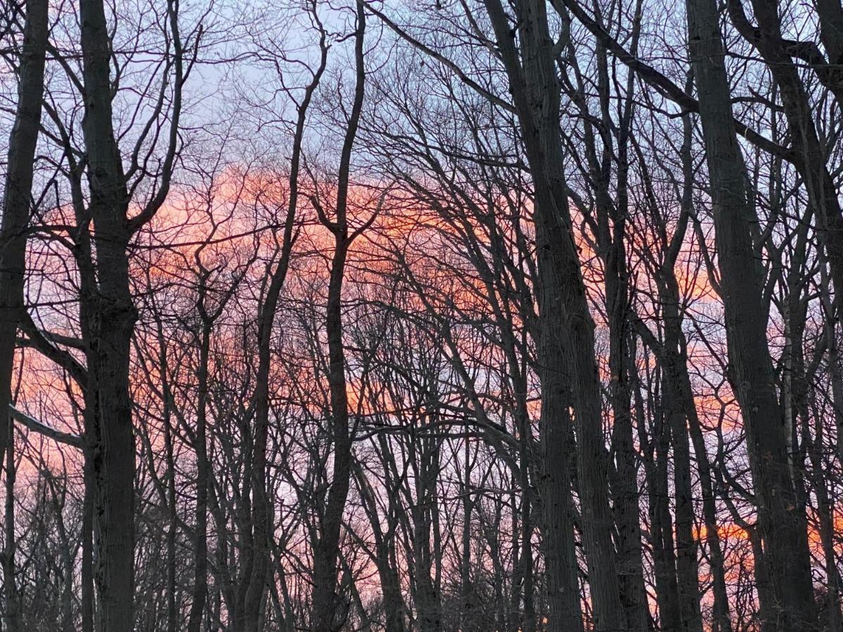 The Sanctuary At Deer Dune , Saugatuck Eksteriør bilde